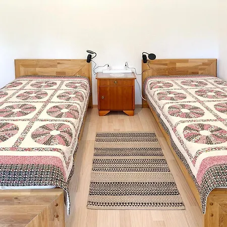 Nature Sonnentau * Kolonie (Spree-Neisse)