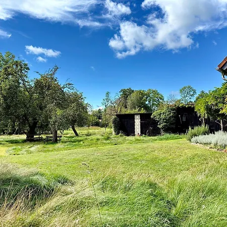 Sonnentau * Kolonie (Spree-Neisse)