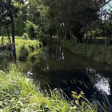 Nature Sonnentau Kolonie (Spree-Neisse)