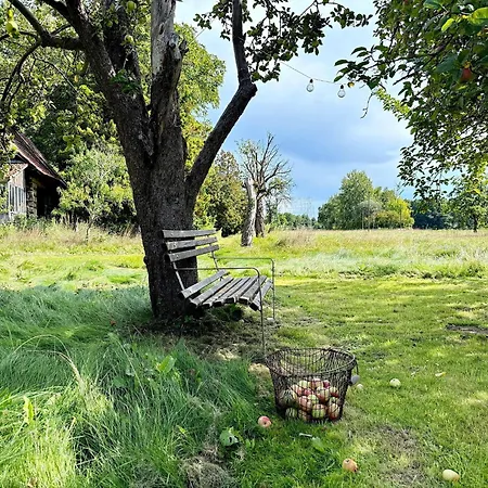 Nature Sonnentau * Kolonie (Spree-Neisse)