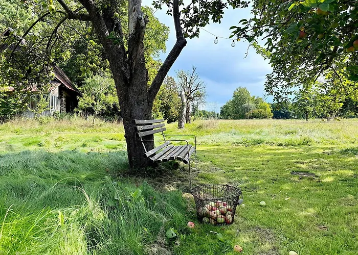 Nature Sonnentau * Kolonie (Spree-Neisse)