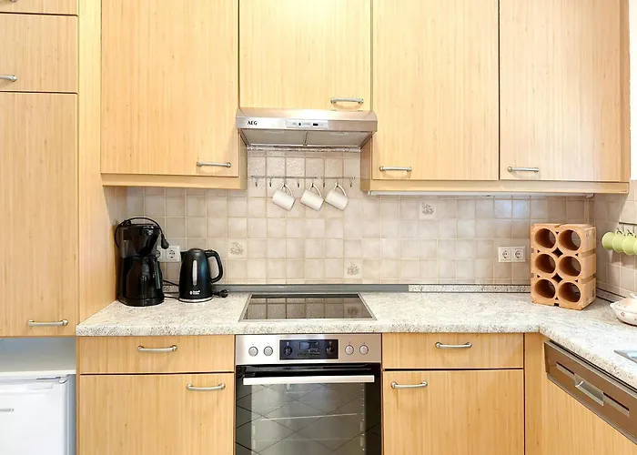 Nature Sonnentau Kolonie (Spree-Neisse)