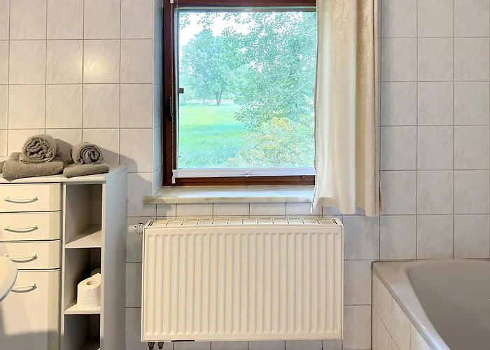 Nature Sonnentau Kolonie (Spree-Neisse)